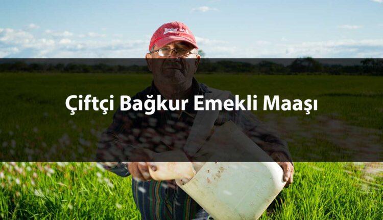 tarım bağkur emekli maaşı hesaplama
