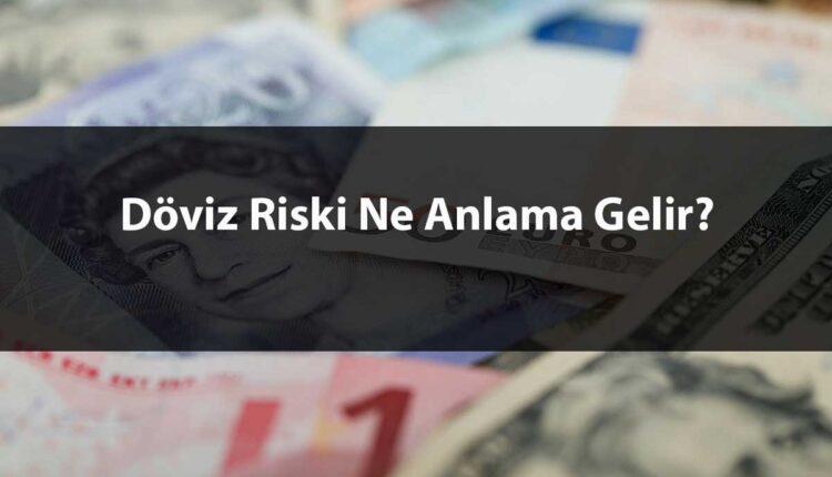 Döviz Riski Nedir