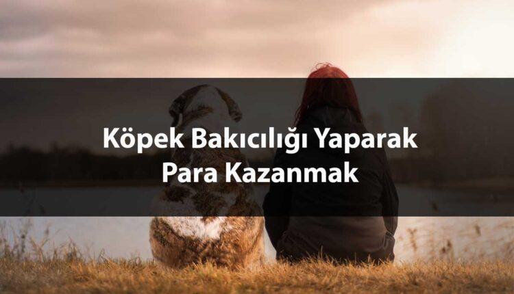 Köpek Bakıcılığı Yaparak Para Kazanılır Mı