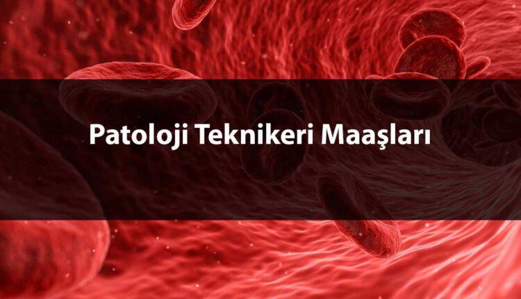 mikrobiyoloji, biyokimya, laboratuar yöntem